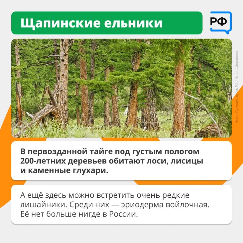 Гейзер высотой с девятиэтажку, «танцующий» лес и вулкан, который «бодрствует» уже тысячи лет Гейзер высотой с девятиэтажку, «танцующий» лес и вулкан, который «бодрствует» уже тысячи лет