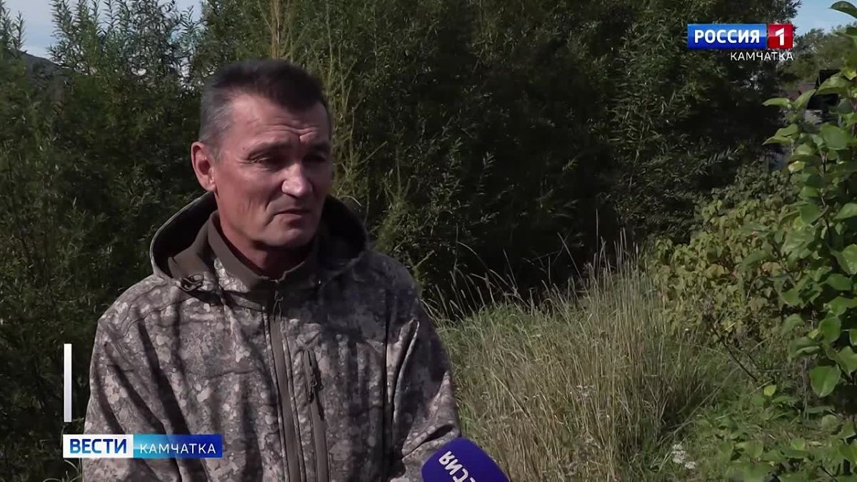 На Кунашире заметили необычно светлого медведя
