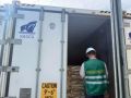 На Камчатке задержали партию горбуши сомнительного производства