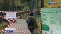 НА ВСЮ СТРАНУ. Камчатские медведи снова стали темой федерального эфира