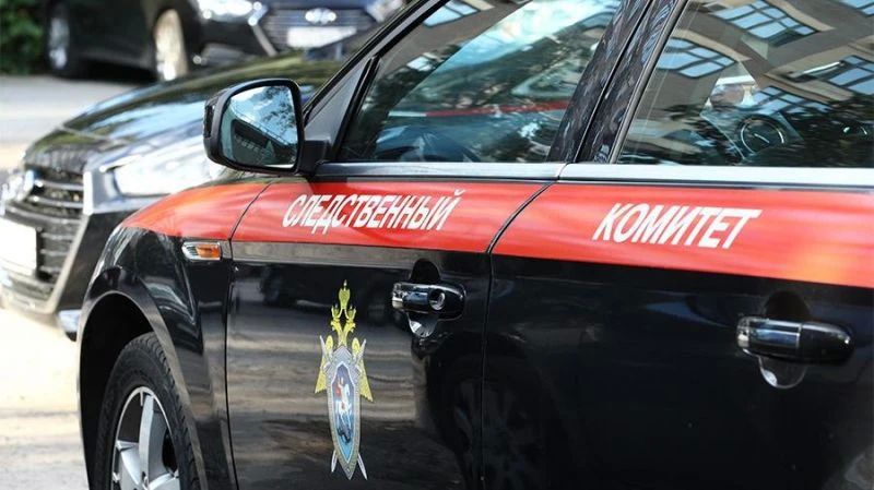 На Камчатке СК проверит информацию об обижающем детей мальчике
