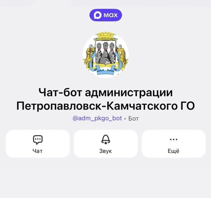 Администрация Петропавловска-Камчатского запустила чат-бот в мессенджере МАКС
