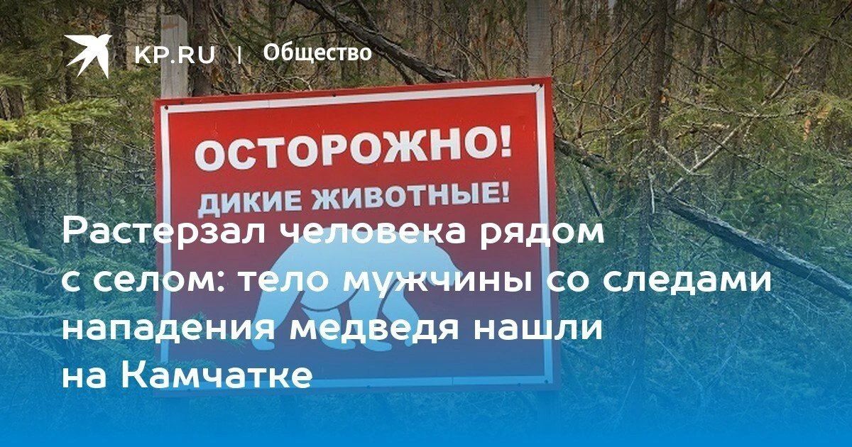 Медведь напал на человека на Камчатке