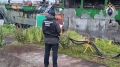 СК подтвердил обнаружение останков моряков на сгоревшем «Триумфе»