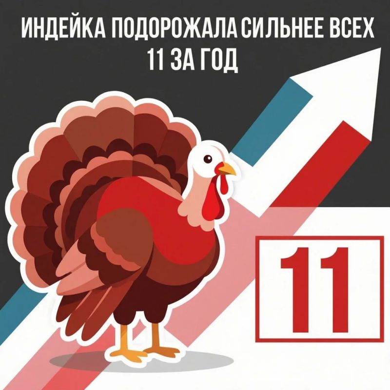Эксперт объяснил, почему сильнее всего подорожала индейка