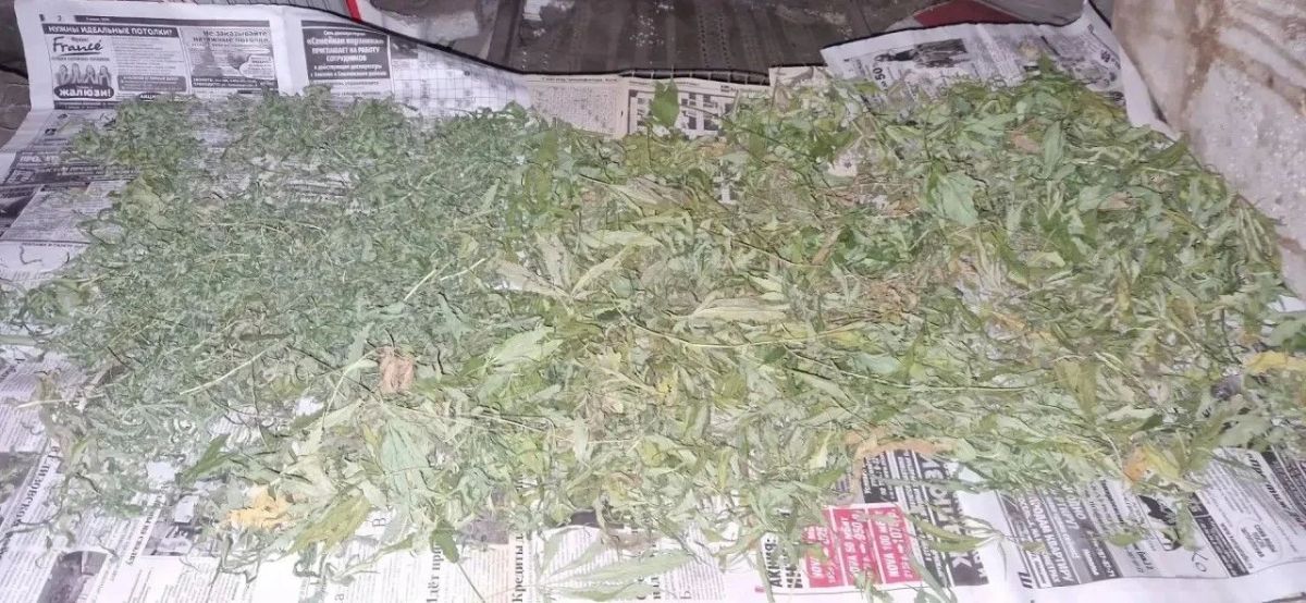 В Елизовском районе полицейские пресекли незаконное хранение наркотических средств В Елизовском районе полицейские пресекли незаконное хранение наркотических средств