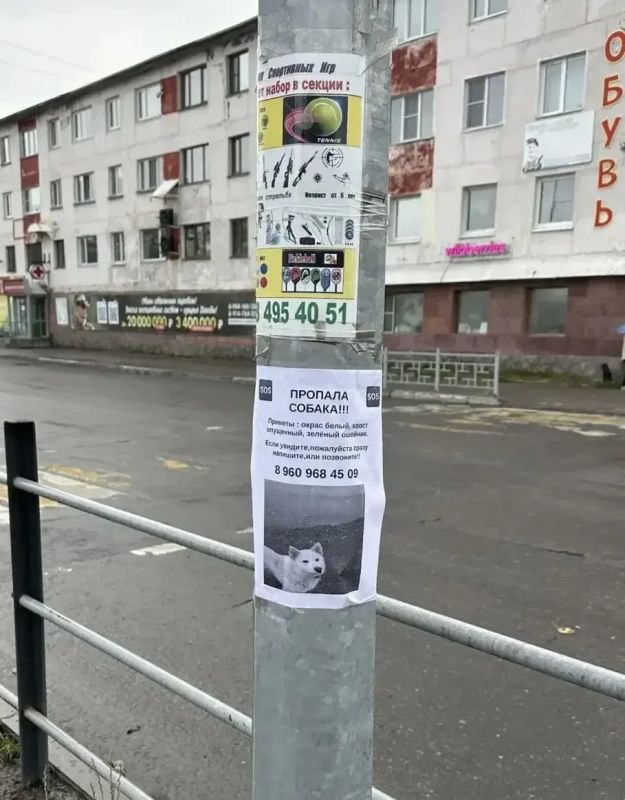 Без штрафа, зато с поисками