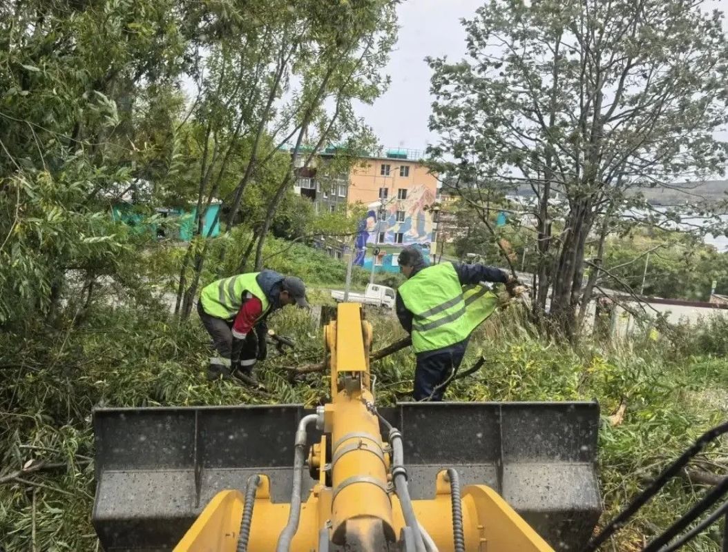 Город день за днем. 30 сентября 2026 года В разных районах города ведутся работы по благоустройству и содержанию Подрядные организации приводят в порядок улицы, тротуары и прилегающие территории Город день за днем. 30 сентября 2026 года В разных районах города ведутся работы по благоустройству и содержанию Подрядные организации приводят в порядок улицы, тротуары и прилегающие территории