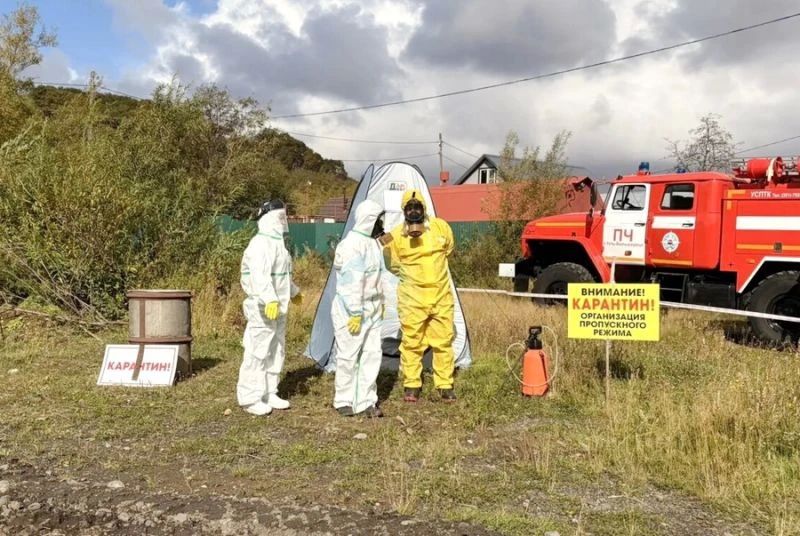 На Камчатке прошли учения по борьбе с птичьим гриппом
