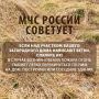 Как не допустить перекидывания пожара на дачный дом от горящих деревьев? Ответ — в нашей традиционной рубрике #СоветДня