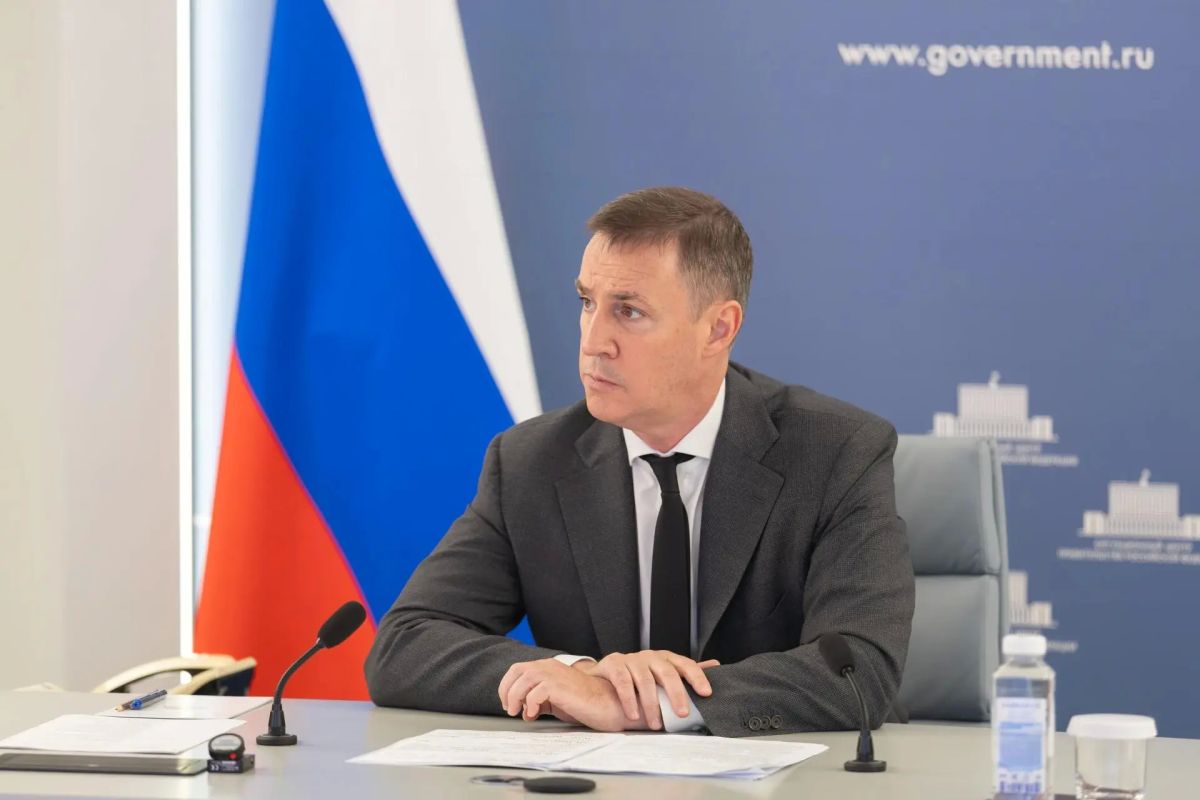 Правительство России примет меры из-за роста числа нападений медведей
