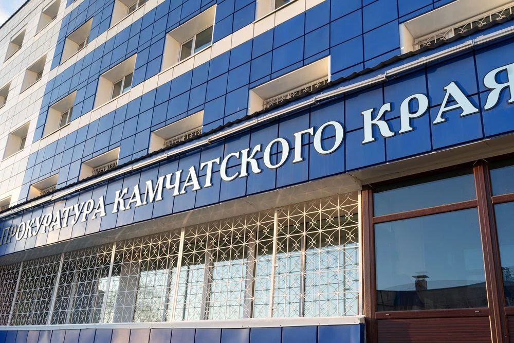 Прокуратура через суд добилась для жительницы Елизовского округа пособия на ребёнка