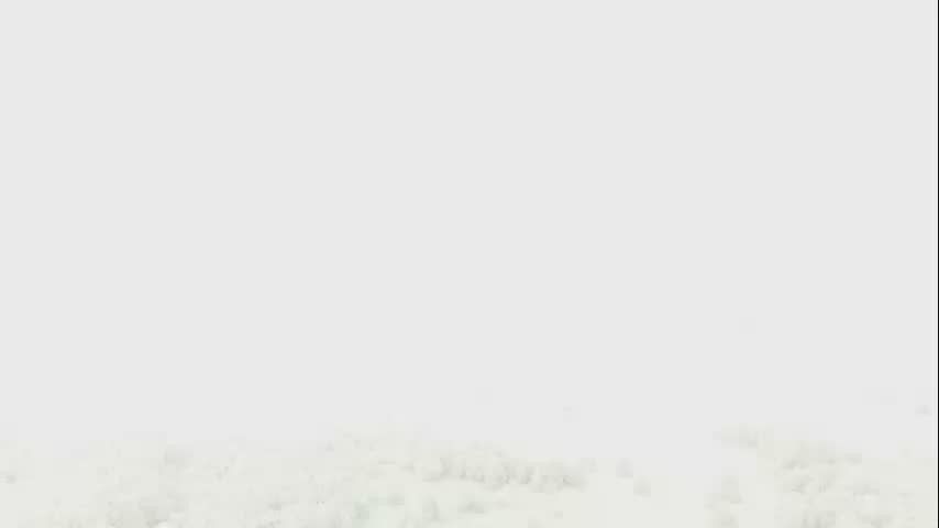 Довольны ли камчатцы местными врачами?
