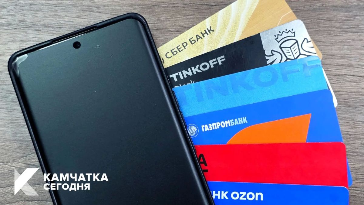 Жители Камчатки стали чаще оплачивать покупки по QR-коду