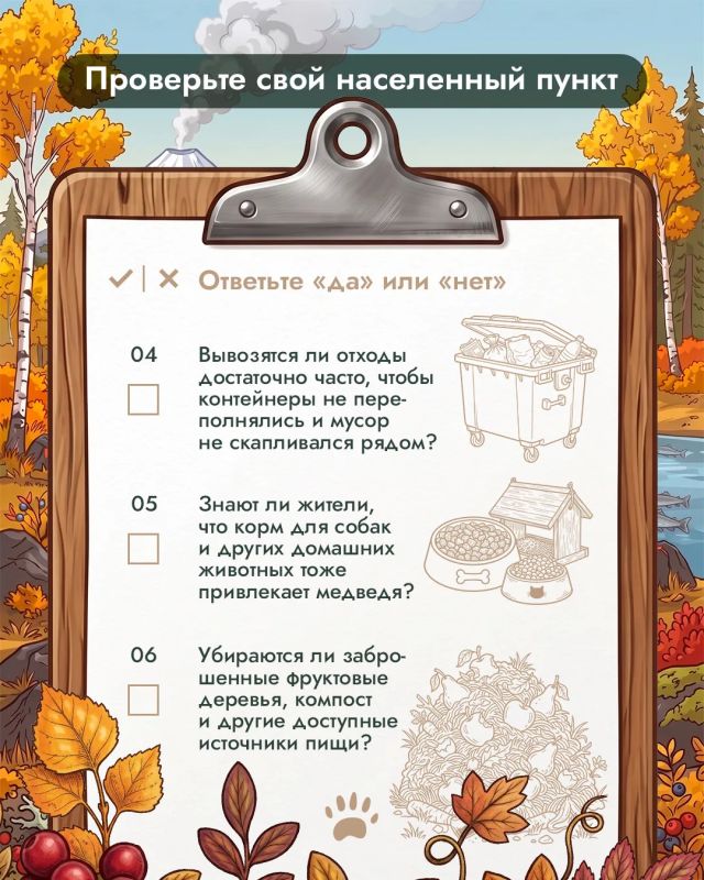 Что в вашем дворе может понравиться медведю? Что в вашем дворе может понравиться медведю?