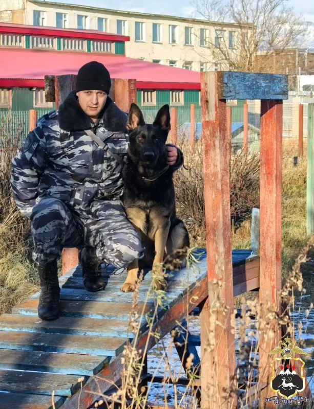 Те, кто ждёт дома: камчатские полицейские поделились фотографиями своих питомцев Те, кто ждёт дома: камчатские полицейские поделились фотографиями своих питомцев