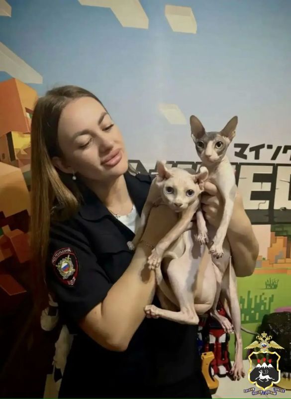Те, кто ждёт дома: камчатские полицейские поделились фотографиями своих питомцев Те, кто ждёт дома: камчатские полицейские поделились фотографиями своих питомцев
