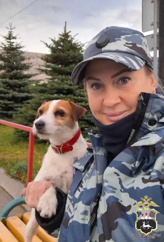 Те, кто ждёт дома: камчатские полицейские поделились фотографиями своих питомцев Те, кто ждёт дома: камчатские полицейские поделились фотографиями своих питомцев