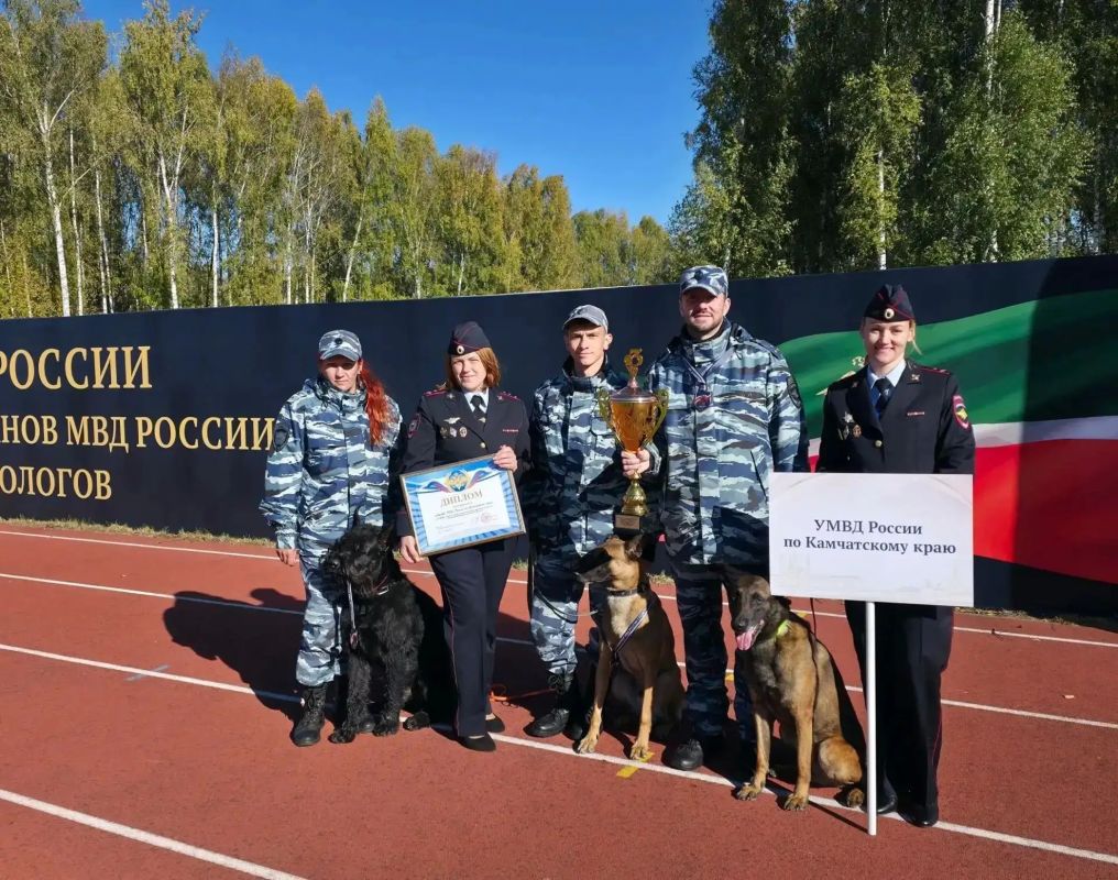 Камчатские кинологи вернулись с наградой после соревнований Камчатские кинологи вернулись с наградой после соревнований