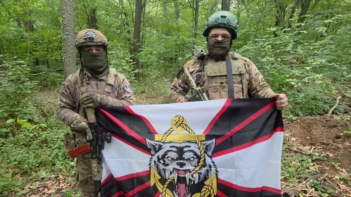 Бойцы батальона морской пехоты «Арктический» записали поздравление для педагогов