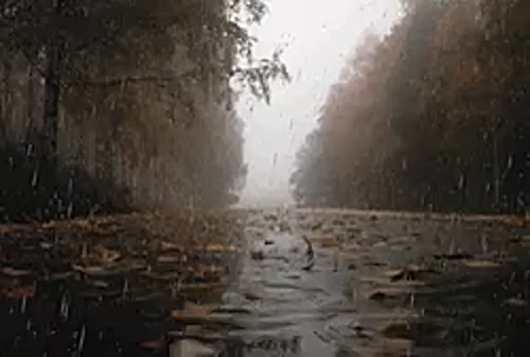 Куртки потеплее пригодятся к четвергу
