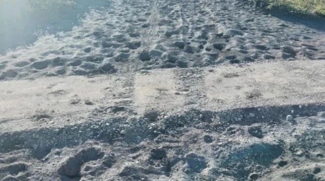На Камчатке неизвестные спиливают ограждения возле Халактырского пляжа На Камчатке неизвестные спиливают ограждения возле Халактырского пляжа