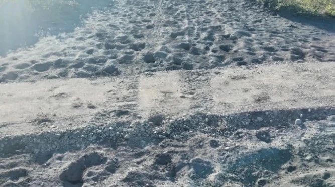 Жителей и гостей Петропавловска-Камчатского призывают бережно относиться к территории Халактырского пляжа Жителей и гостей Петропавловска-Камчатского призывают бережно относиться к территории Халактырского пляжа