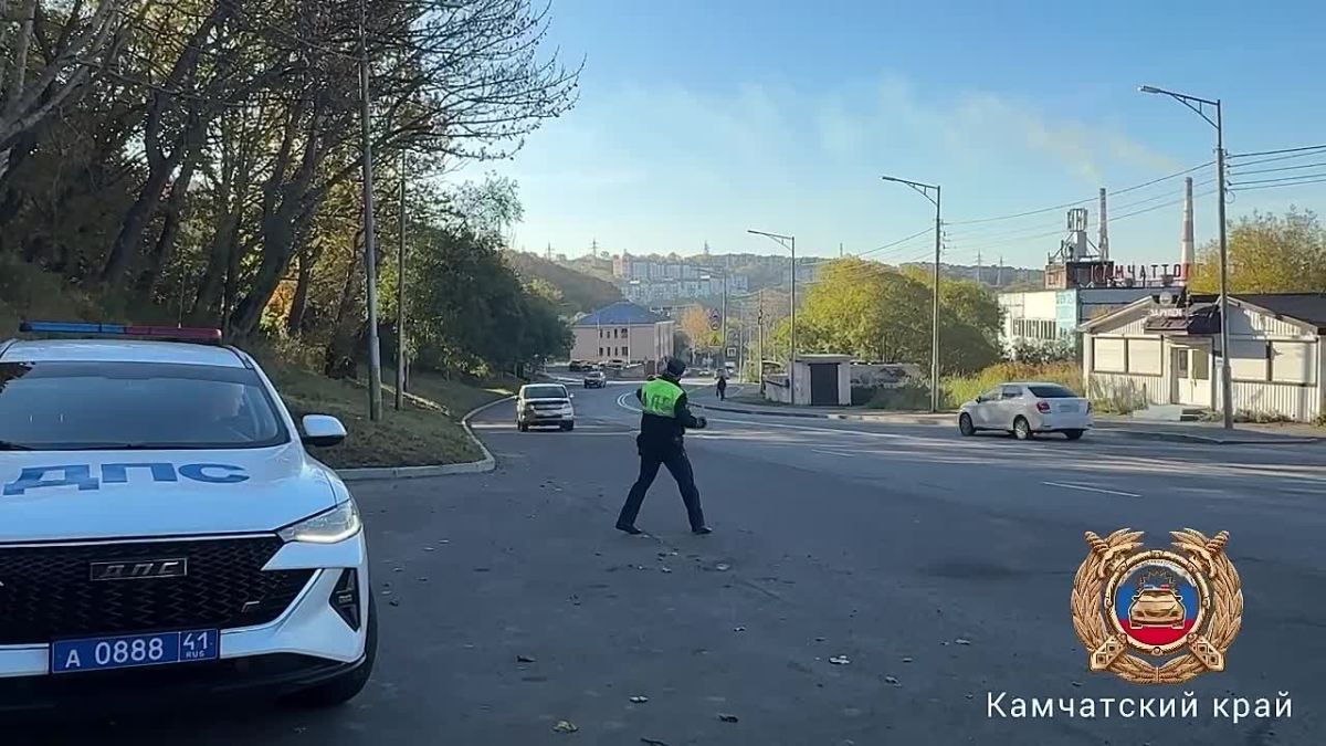 ТОНИРОВКА, ПРАВА И ОСАГО: НА КАМЧАТКЕ ПРОХОДИТ МАССОВЫЙ РЕЙД ГАИ