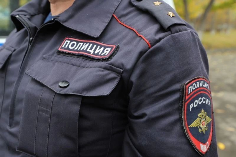 Побитая елизовчанка получила условный срок за нападение на полицейского