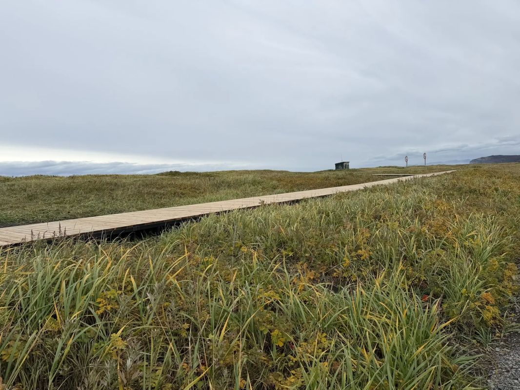 Благоустройство Халактырского пляжа на Камчатке выполнено уже на 70% Благоустройство Халактырского пляжа на Камчатке выполнено уже на 70%