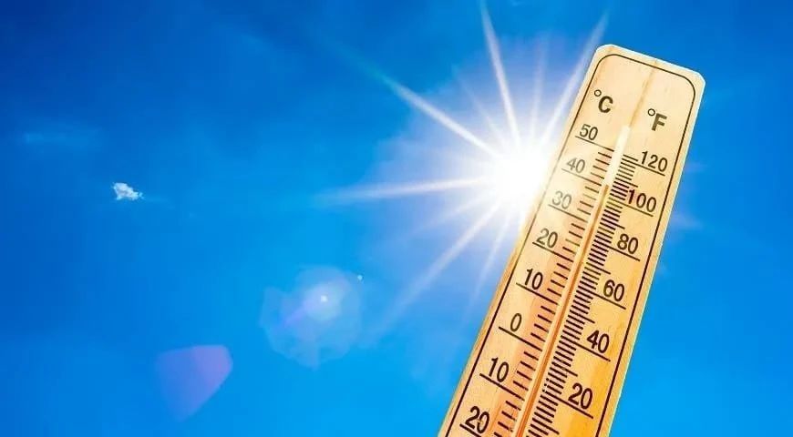 На Западно-Камчатском шельфе зафиксировали потепление воды на 2,5 °C
