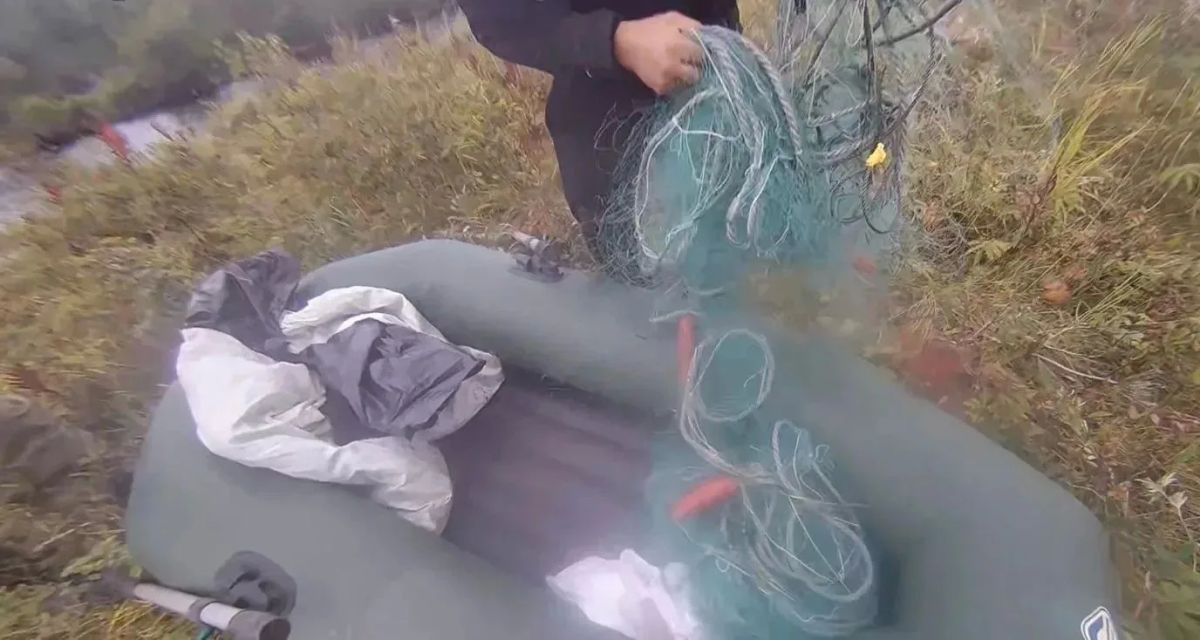 В Усть-Большерецком районе сотрудники полиции выявили факт незаконной добычи водных биологических ресурсов