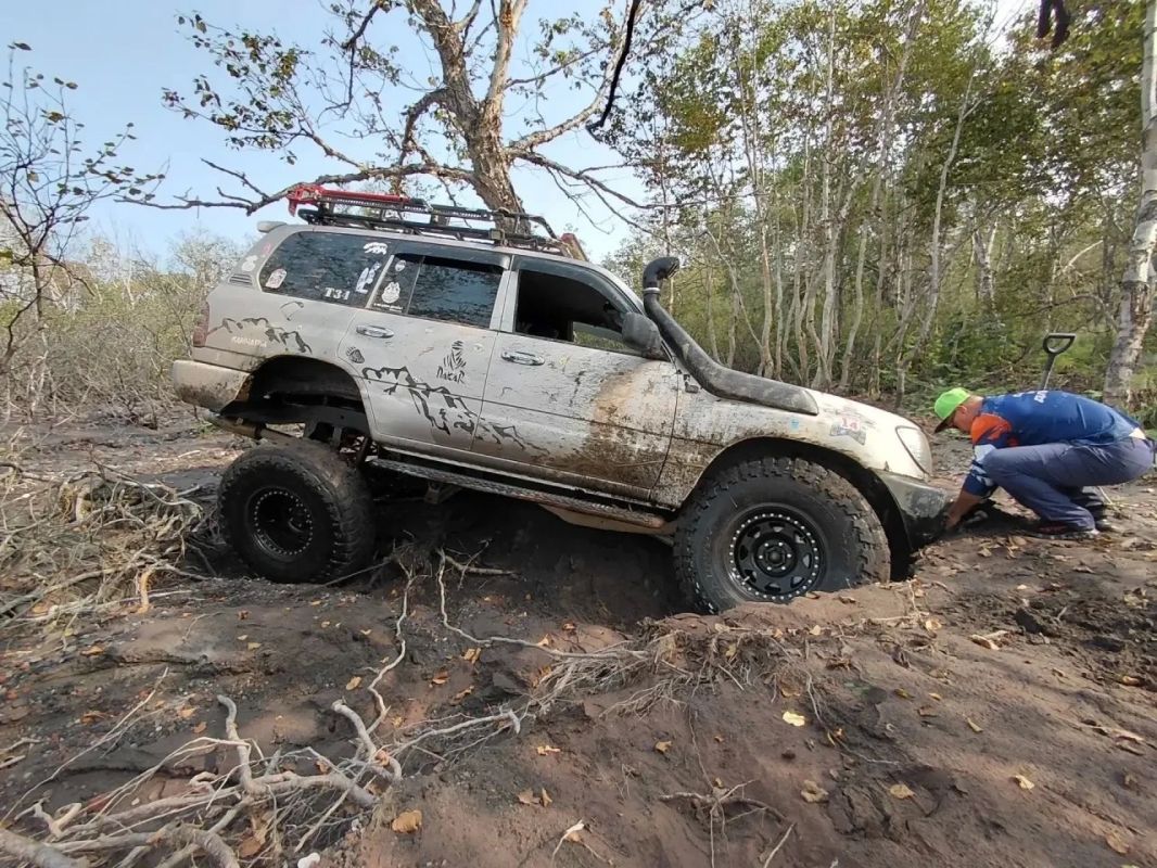 Вулканы Камчатки «кормят» Тихий океан: новые данные учёных Вулканы Камчатки «кормят» Тихий океан: новые данные учёных