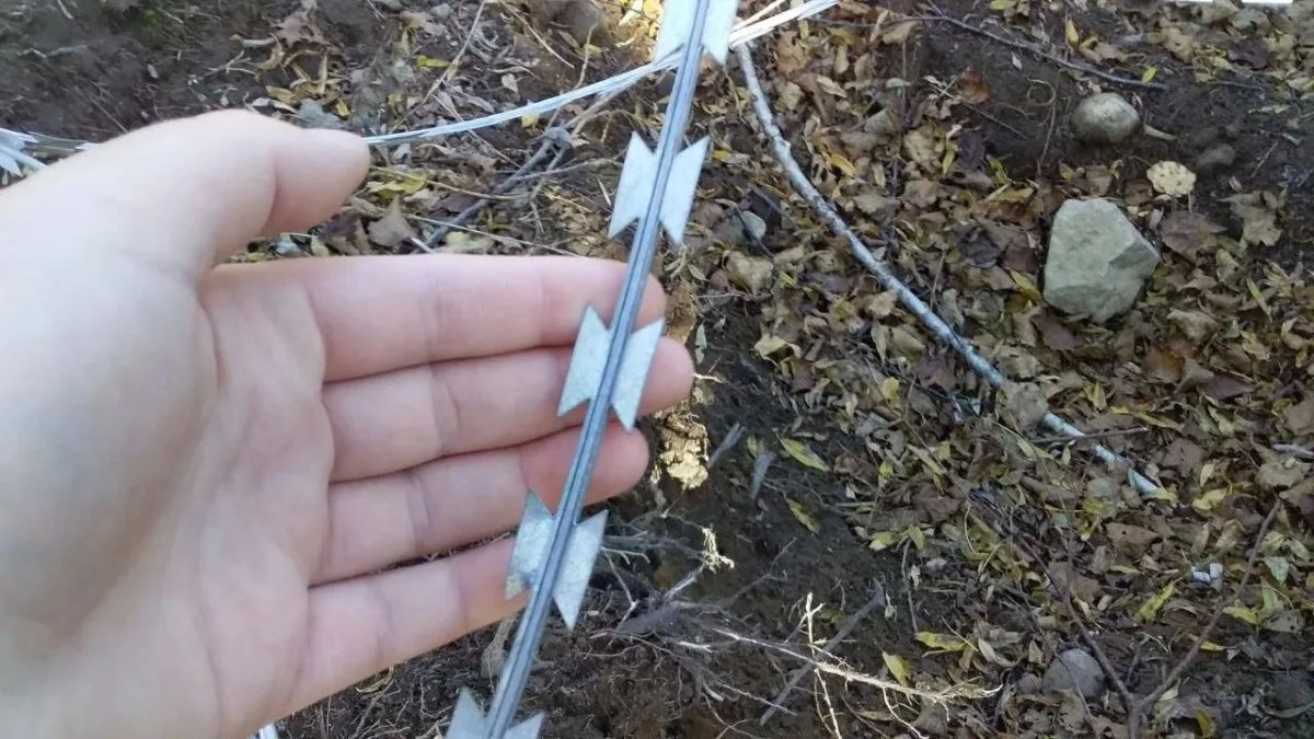 А если в яму попадет ребенок: елизовчане обеспокоены «медвежьими ловушками» А если в яму попадет ребенок: елизовчане обеспокоены «медвежьими ловушками»