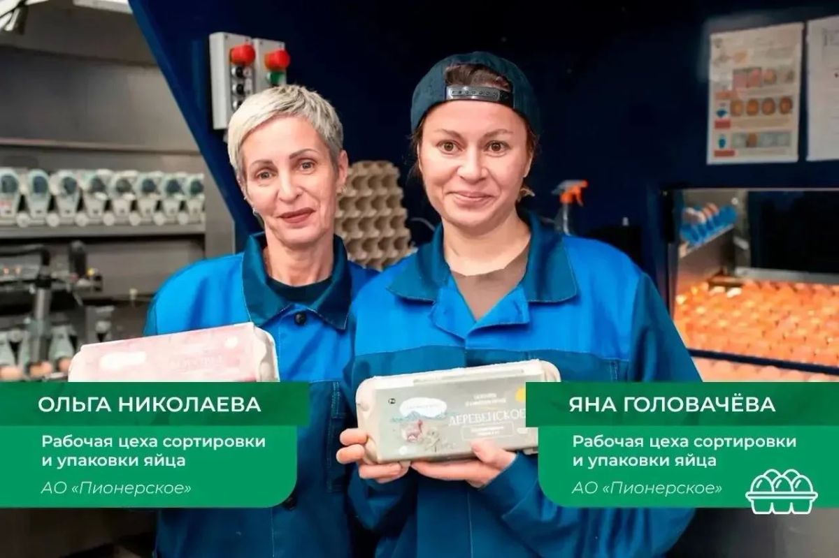 Камчатские аграрии отмечают профессиональный праздник Камчатские аграрии отмечают профессиональный праздник