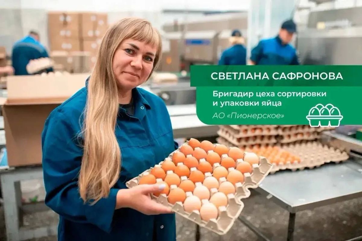 Камчатские аграрии отмечают профессиональный праздник Камчатские аграрии отмечают профессиональный праздник