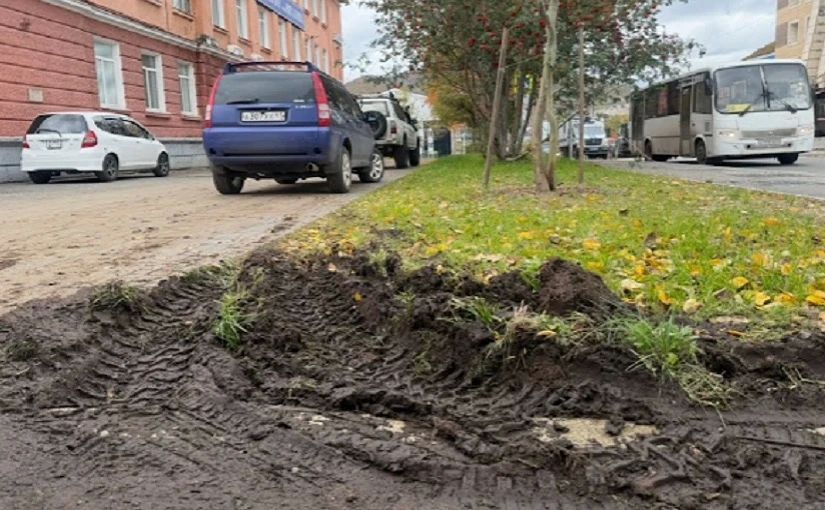 За парковку на газоне придётся платить