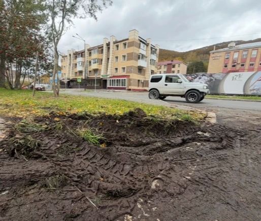 За парковку на газонах водителей в камчатской столице привлекут к ответственности За парковку на газонах водителей в камчатской столице привлекут к ответственности