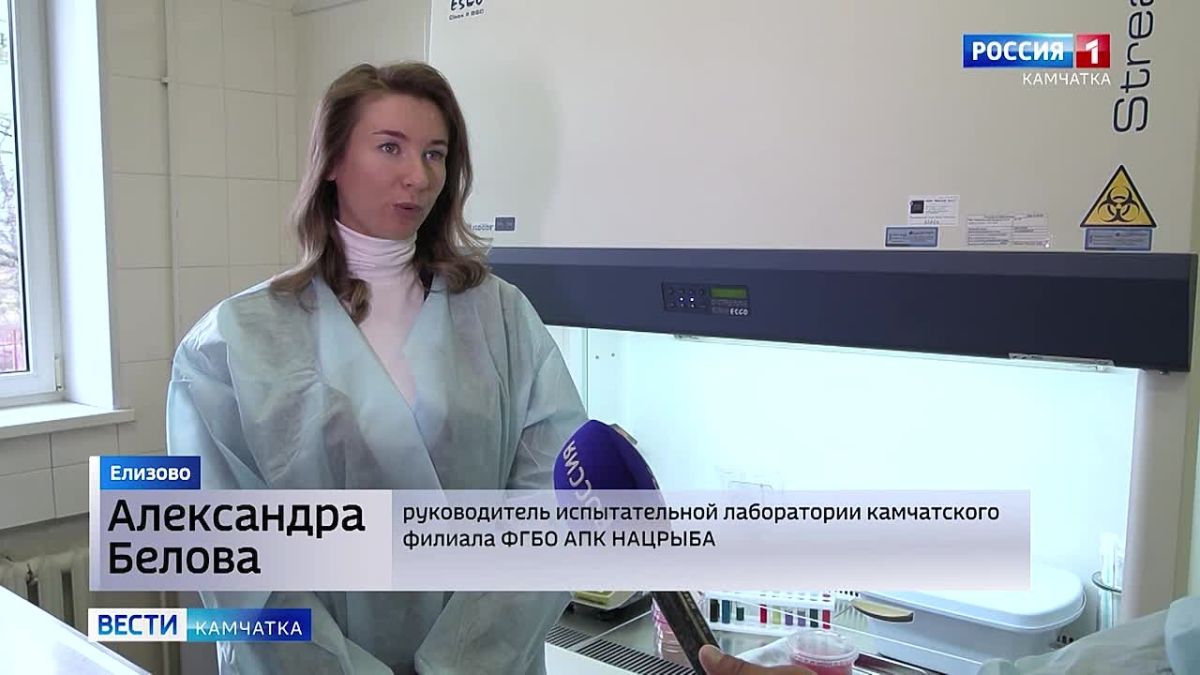 Красная икра кажется привычным продуктом на Камчатке, но её качество проверяют сразу по нескольким показателям