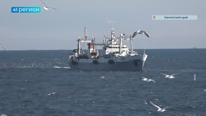 Почти 4 миллиона тонн рыбы поймали российские рыбаки с начала года