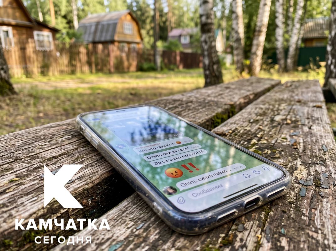 Конфликт в чате СНТ дошёл до суда