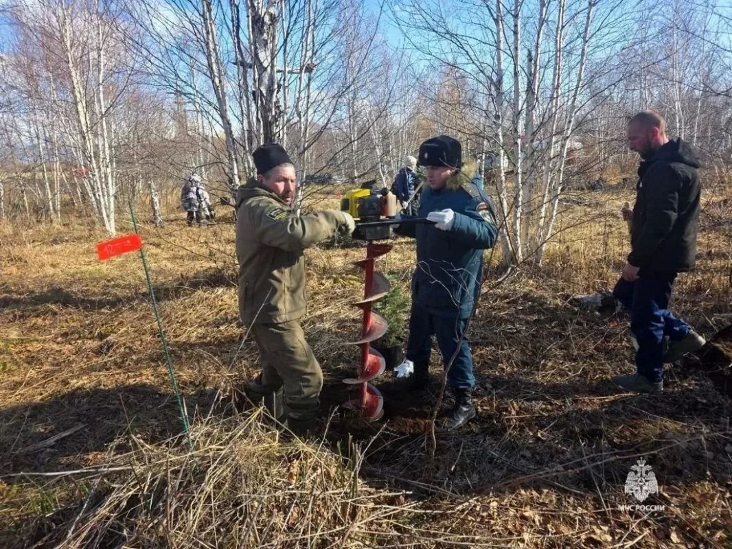 Сотрудники Камчатского спасательного центра МЧС России приняли участие в проекте «Лес будущего Камчатки»