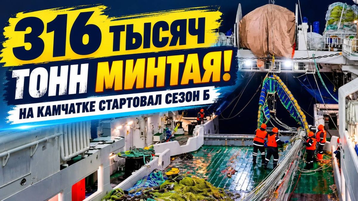 КАМЧАТКА ПРОДОЛЖАЕТ МИНТАЙНУЮ ПУТИНУ: ВЫЛОВИЛИ УЖЕ 316 ТЫСЯЧ ТОНН