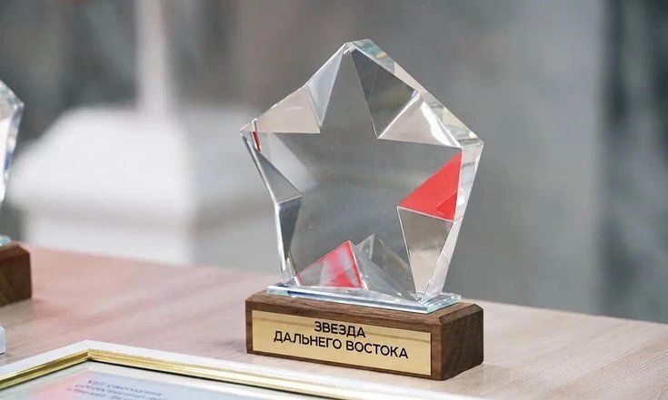 Предприниматели и общественники Камчатки могут стать лауреатами премии «Звезда Дальнего Востока»