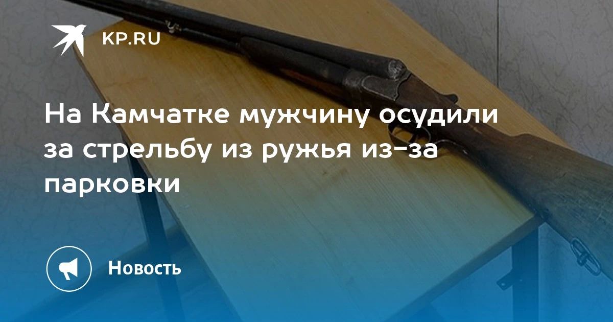 На Камчатке осудили мужчину за стрельбу из ружья