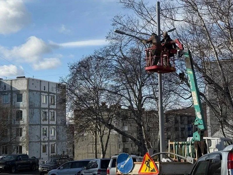 Пока нас радует октябрьское солнышко, идем на прогулку!