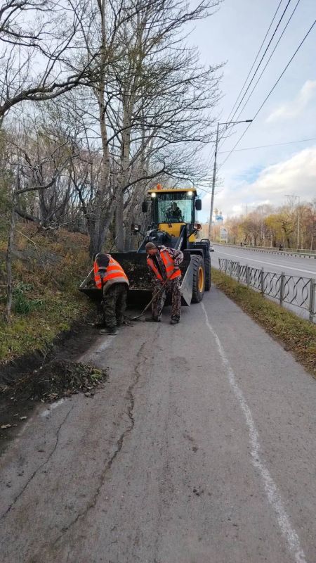 Город день за днем. 31 октября 2026 года В Петропавловске-Камчатском продолжается осеннее содержание городских территорий Город день за днем. 31 октября 2026 года В Петропавловске-Камчатском продолжается осеннее содержание городских территорий